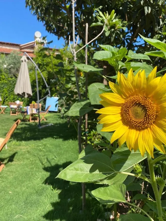 Lemon-Ada Butik Otel Kusadasi