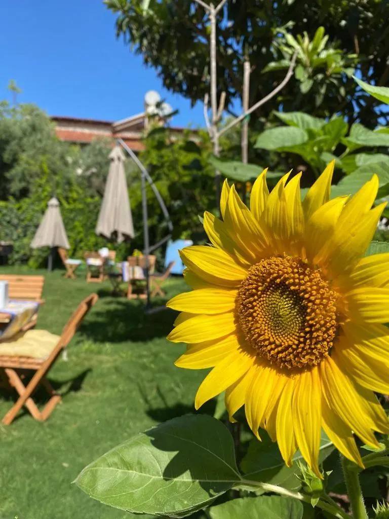 Hotel Lemon-Ada Butik Otel Kusadasi Turkey